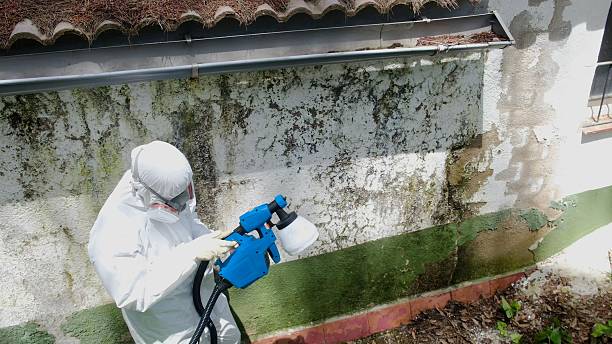 Top rated local Mold Testing specialists in Camden, TN
